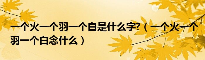 一个火一个羽一个白是什么字?（一个火一个羽一个白念什么）