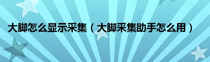 大脚怎么显示采集（大脚采集助手怎么用）