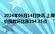 2024年06月14日快讯 上海航交所：本期上海出口集装箱运价指数环比涨194.35点