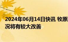 2024年06月14日快讯 牧原股份：今年盈利能力及现金流情况将有较大改善