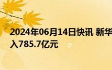 2024年06月14日快讯 新华保险：前5月累计原保险保费收入785.7亿元