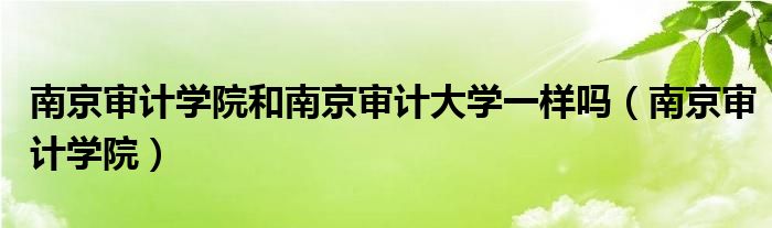 南京审计学院和南京审计大学一样吗（南京审计学院）