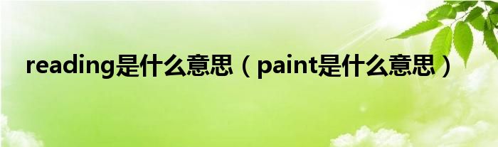 reading是什么意思（paint是什么意思）