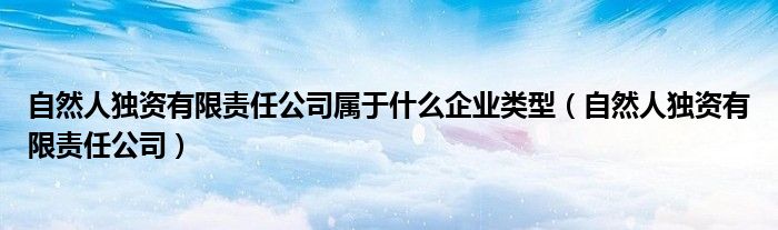 自然人独资有限责任公司属于什么企业类型（自然人独资有限责任公司）