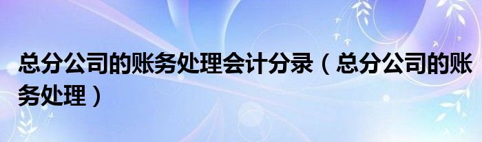 总分公司的账务处理会计分录（总分公司的账务处理）