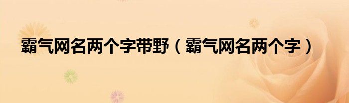 霸气网名两个字带野（霸气网名两个字）