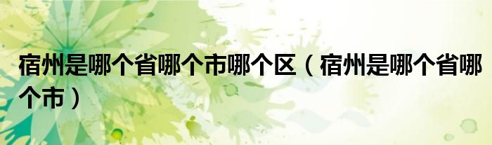 宿州是哪个省哪个市哪个区（宿州是哪个省哪个市）