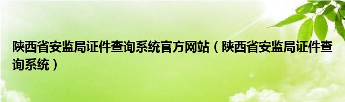 陕西省安监局证件查询系统官方网站（陕西省安监局证件查询系统）