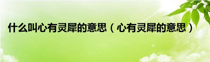 什么叫心有灵犀的意思（心有灵犀的意思）