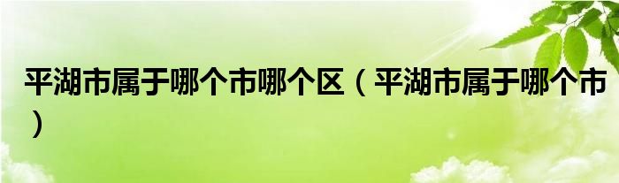 平湖市属于哪个市哪个区（平湖市属于哪个市）