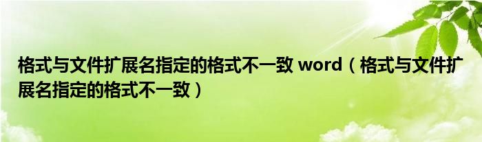 格式与文件扩展名指定的格式不一致 word（格式与文件扩展名指定的格式不一致）