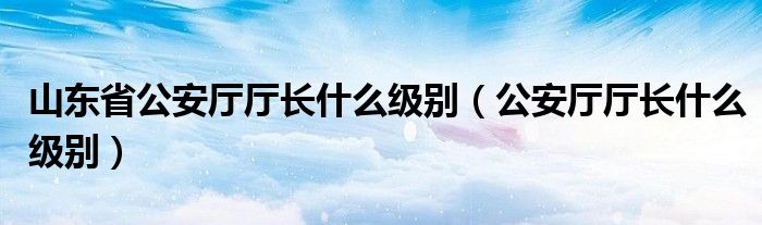 山东省公安厅厅长什么级别（公安厅厅长什么级别）