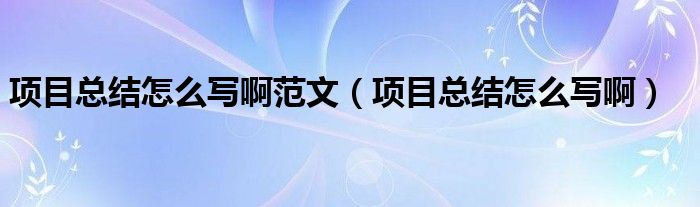 项目总结怎么写啊范文（项目总结怎么写啊）