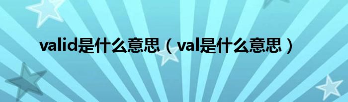 valid是什么意思（val是什么意思）