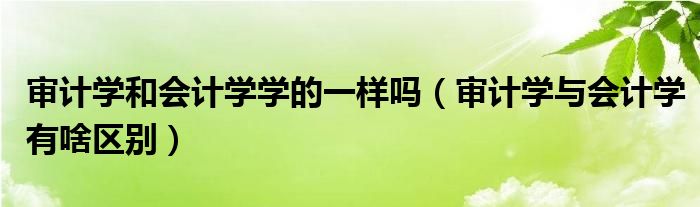 审计学和会计学学的一样吗（审计学与会计学有啥区别）