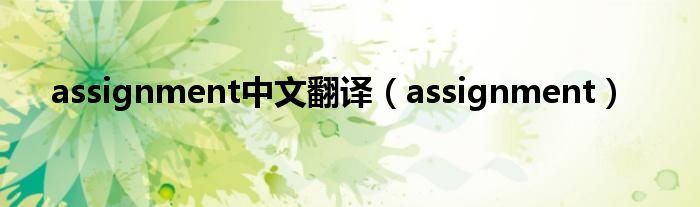 assignment中文翻译（assignment）