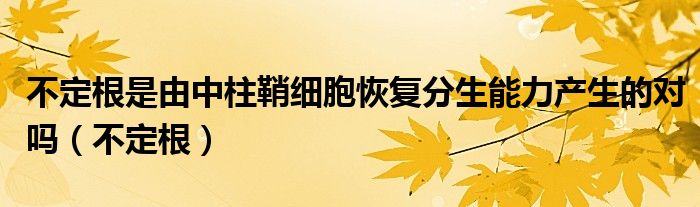 不定根是由中柱鞘细胞恢复分生能力产生的对吗（不定根）