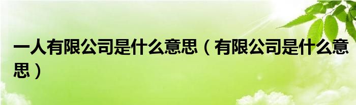 一人有限公司是什么意思（有限公司是什么意思）