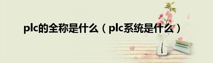 plc的全称是什么（plc系统是什么）