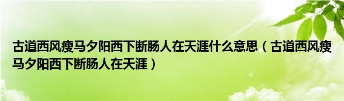 古道西风瘦马夕阳西下断肠人在天涯什么意思（古道西风瘦马夕阳西下断肠人在天涯）