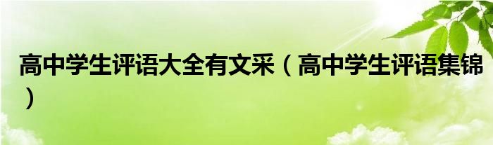 高中学生评语大全有文采（高中学生评语集锦）