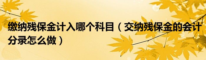 缴纳残保金计入哪个科目（交纳残保金的会计分录怎么做）