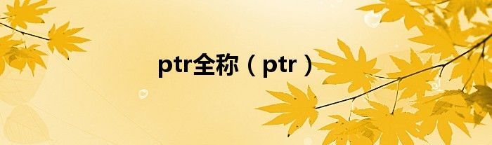 ptr全称（ptr）