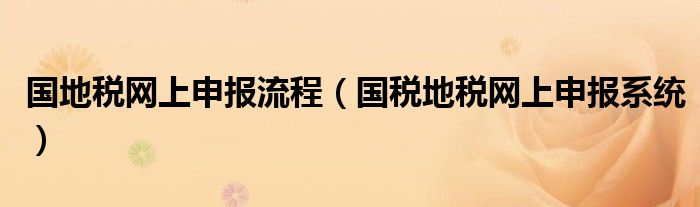 国地税网上申报流程（国税地税网上申报系统）