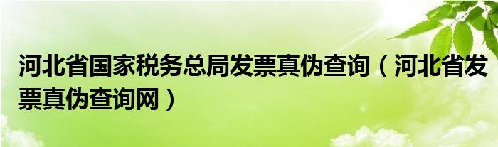 河北省国家税务总局发票真伪查询（河北省发票真伪查询网）