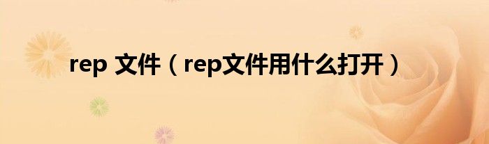 rep 文件（rep文件用什么打开）