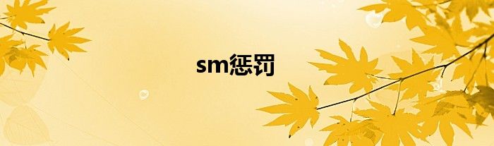 sm惩罚