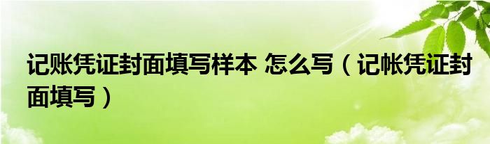 记账凭证封面填写样本 怎么写（记帐凭证封面填写）