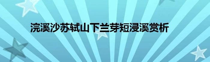 浣溪沙苏轼山下兰芽短浸溪赏析