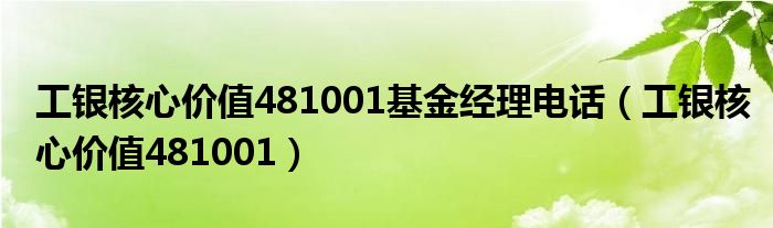 工银核心价值481001基金经理电话（工银核心价值481001）