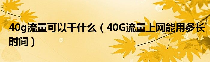 40g流量可以干什么（40G流量上网能用多长时间）