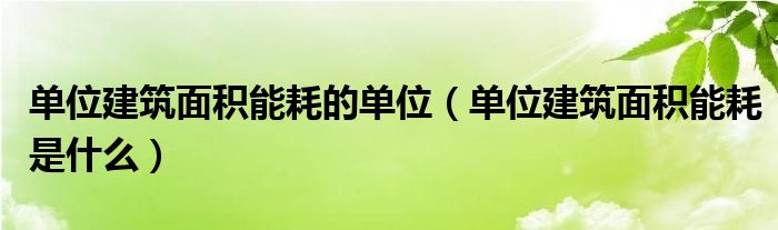 单位建筑面积能耗的单位（单位建筑面积能耗是什么）