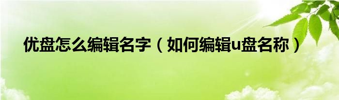 优盘怎么编辑名字（如何编辑u盘名称）