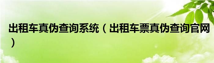 出租车真伪查询系统（出租车票真伪查询官网）