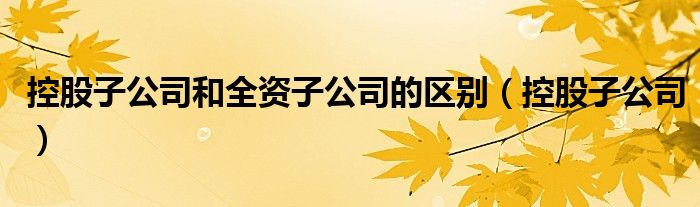 控股子公司和全资子公司的区别（控股子公司）