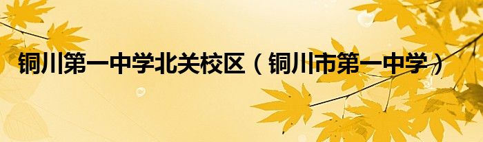 铜川第一中学北关校区（铜川市第一中学）