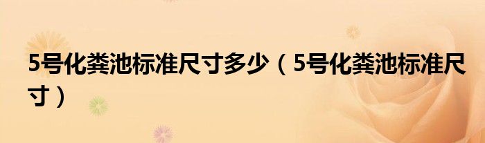 5号化粪池标准尺寸多少（5号化粪池标准尺寸）