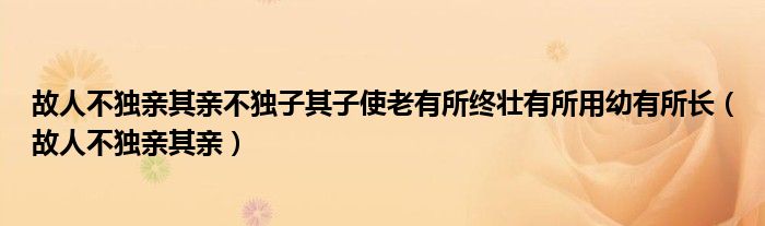 故人不独亲其亲不独子其子使老有所终壮有所用幼有所长（故人不独亲其亲）