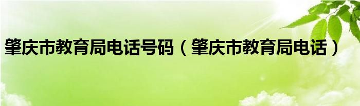 肇庆市教育局电话号码（肇庆市教育局电话）