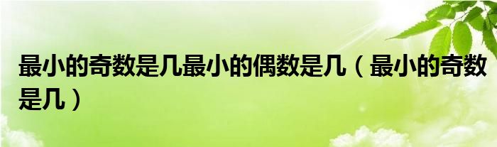 最小的奇数是几最小的偶数是几（最小的奇数是几）