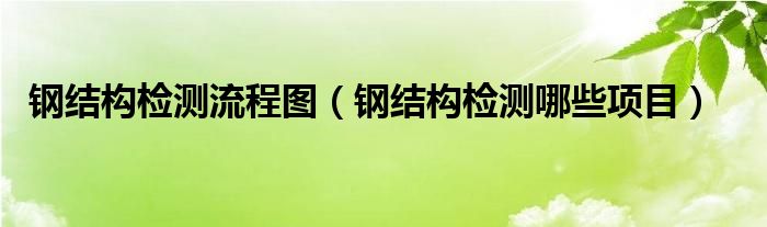 钢结构检测流程图（钢结构检测哪些项目）