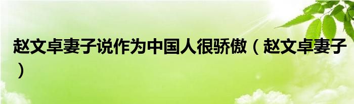 赵文卓妻子说作为中国人很骄傲（赵文卓妻子）