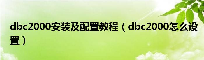 dbc2000安装及配置教程（dbc2000怎么设置）