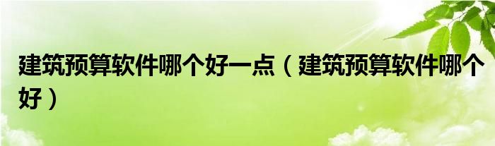 建筑预算软件哪个好一点（建筑预算软件哪个好）