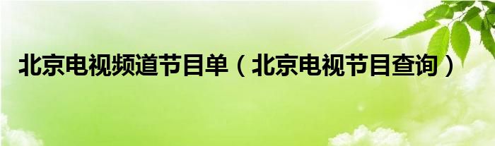 北京电视频道节目单（北京电视节目查询）