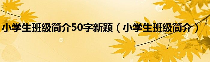 小学生班级简介50字新颖（小学生班级简介）